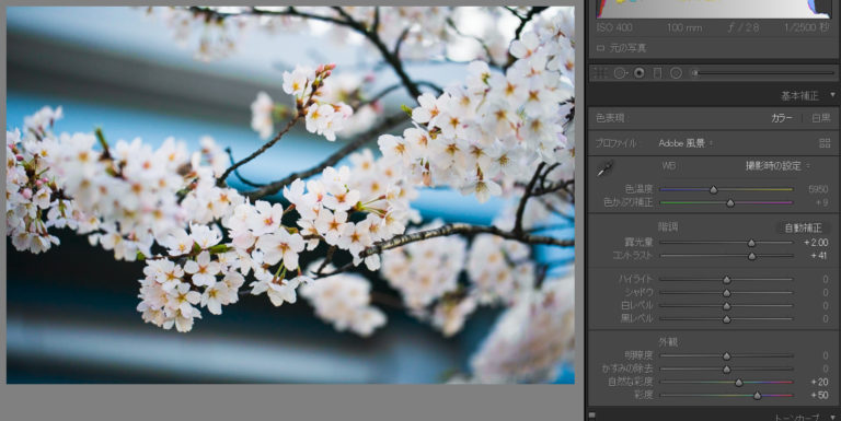 lightroom 彩度